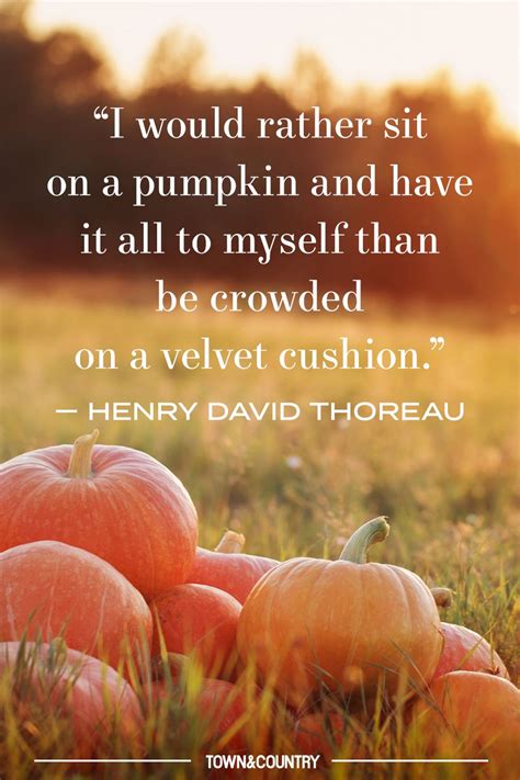 pumpkin sayings for fall